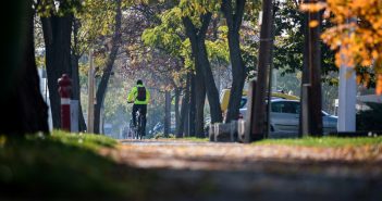 Elismerő oklevéllel díjazták a zuglói faállományt