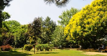Másfél hétig autómentes lesz az Újvidék téri park