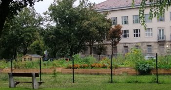 A második közösségi kert is kizöldült