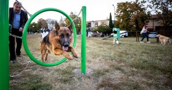 Agility eszközökkel bővült a kutyafuttató