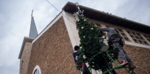 Felállítják Zugló karácsonyfáját a Bosnyák téren