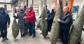 Fenyőfát és élelmet adományoztak
