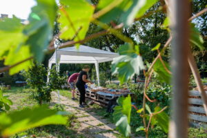 Piknik a Padlizsán utcai közösségi kertben