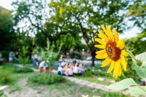 Piknik a Padlizsán utcai közösségi kertben