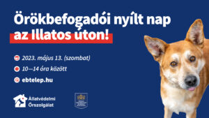 Örökbefogadói nyílt nap az Illatos úton május 13-án