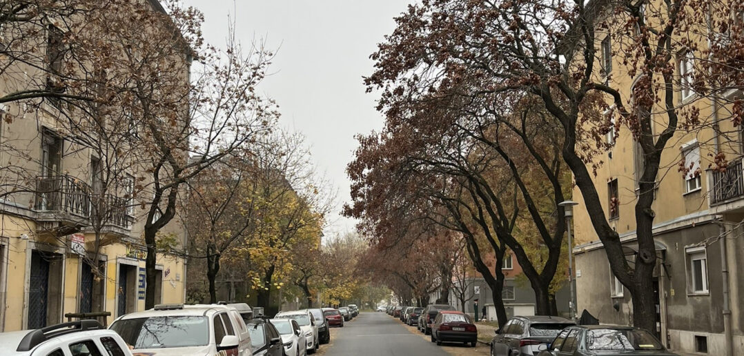 Zugló fasorai hogyan őrizhetők meg és hogyan fejleszthetők?